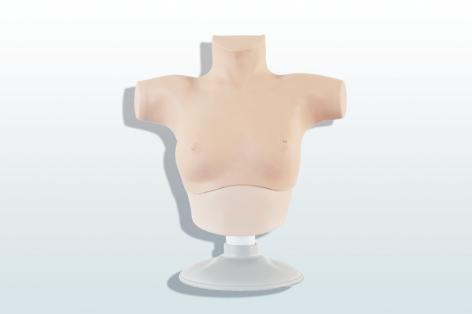 乳腺癌觸診、視診訓(xùn)練模型